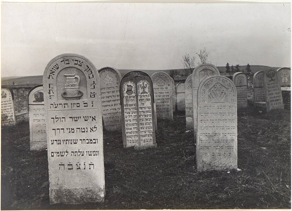 Jüdischer Friedhof in Brzezany (BildID 15438453)