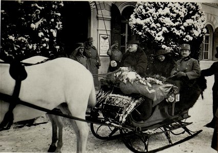 Karl I. und Zita in Innsbruck, 19.1.1917 (BildID 15551155)