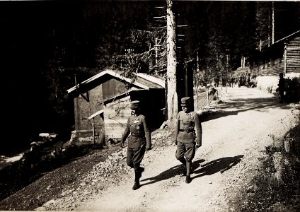 Karl I. während seines Besuchs in Südtirol am 26.6.1917 (BildID 15565772)