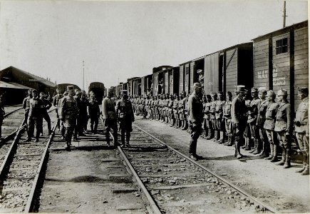 Karl inspiziert bei der Durchfahrt durch Stry die Schützen der 5. Division am Bahnhof am 30.8.1916 (BildID 15550020)