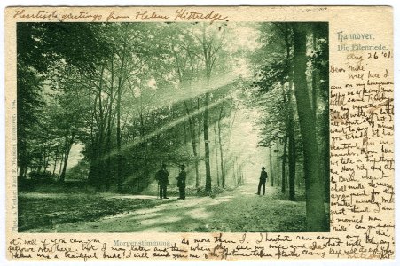 Karl F. Wunder PC 0784 Hannover. Die Eilenriede. Morgenstimmung