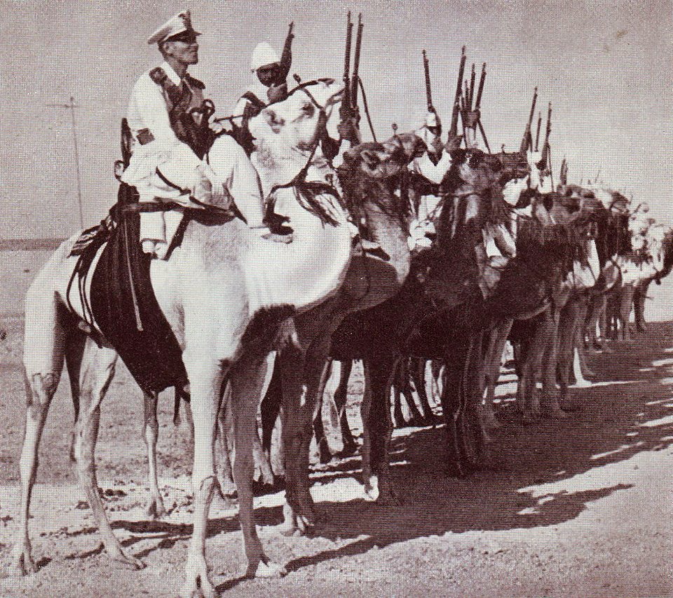 Karl Schwabe, 3 x Afrika (216c)