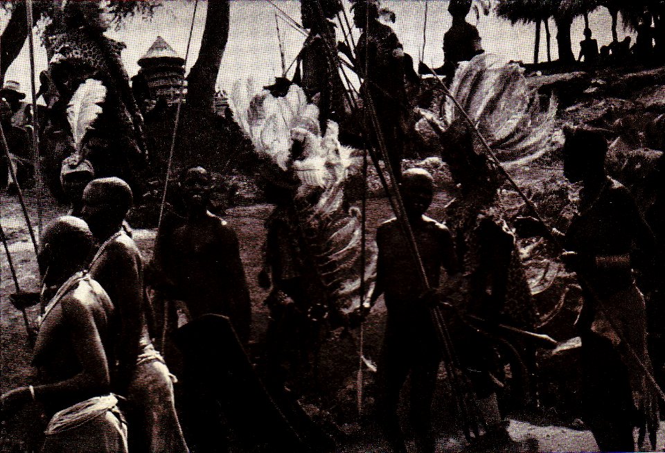 Karl Schwabe, 3 x Afrika (145a)