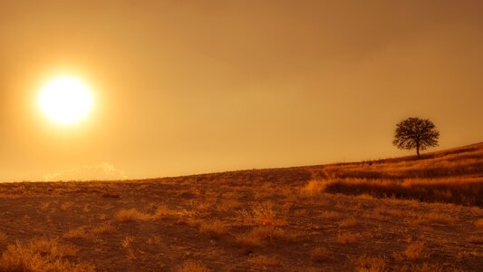 Nature landscape meadow photo