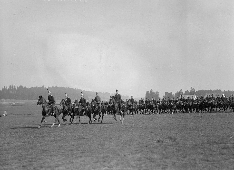Kavallerie beim Defilieren im Galopp - CH-BAR - 3236743