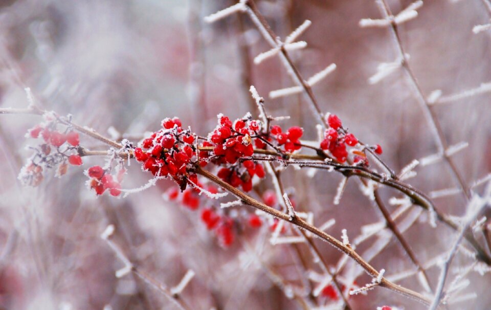 Season outdoor winter