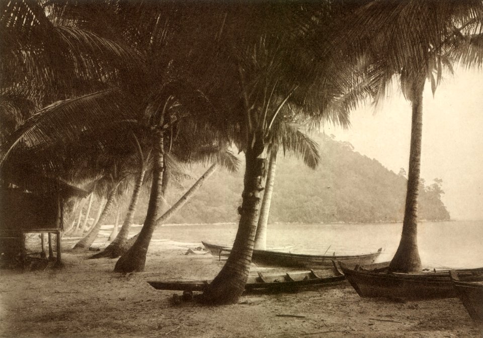 KITLV 80053 - Kleingrothe, C.J. - Coast near Muka Head on Penang island, Malay peninsula - 1910