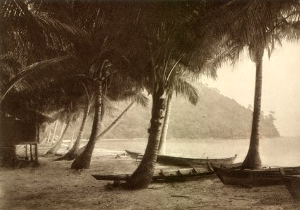 KITLV 80053 - Kleingrothe, C.J. - Coast near Muka Head on Penang island, Malay peninsula - 1910
