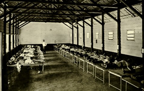 KITLV - 78292 - Kleingrothe, C.J. - Medan - Ward of the hospital for coolies of the Amsterdam Deli Company at Padang Bulan near Medan, Sumatra - circa 1900