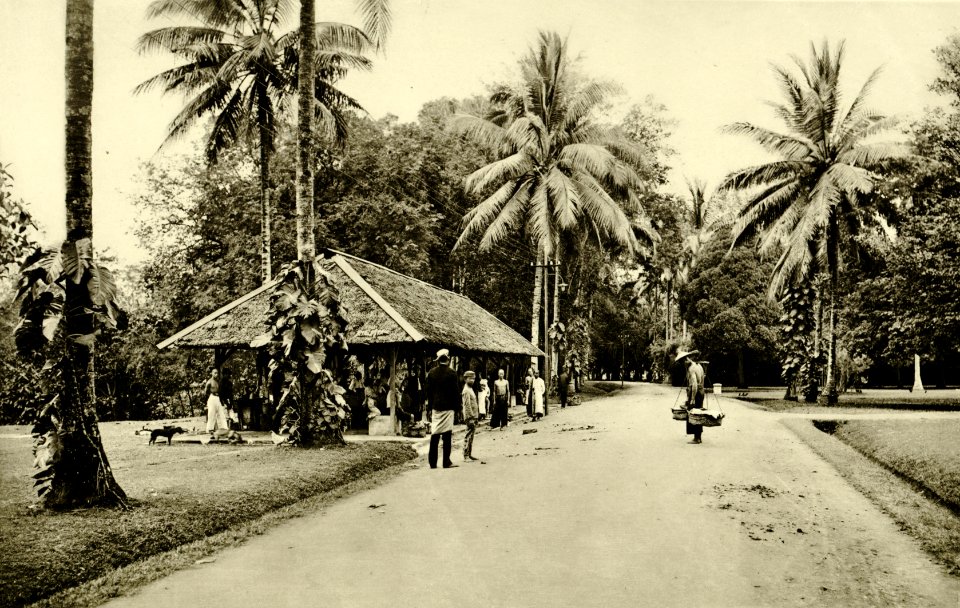 KITLV - 78300 - Kleingrothe, C.J. - Medan - Warong on a tobacco plantation of the Amsterdam Deli Company at Padang Bulan near Medan, Sumatra - circa 1900