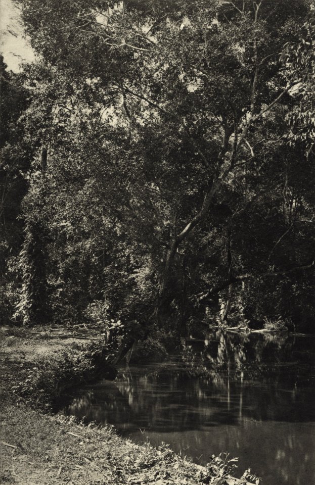 KITLV - 88314 - Kleingrothe, C.J. - Medan - Canal near the plantation Loeboe Dalam (Lubu Dalam) of the Deli Company in Deli - 1905