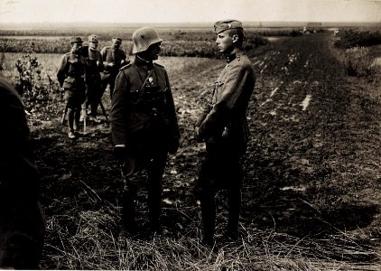 Kavallerieoffiziere im Raum Snjatin am 29.7.1917 unmittelbar nach der erfolgreichen Gegenoffensive in Galizien (BildID 15566634)