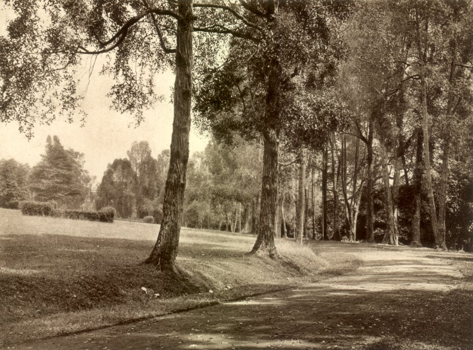 KITLV - 79916 - Kleingrothe, C.J. - Medan - Tyersall near Singapore - circa 1910