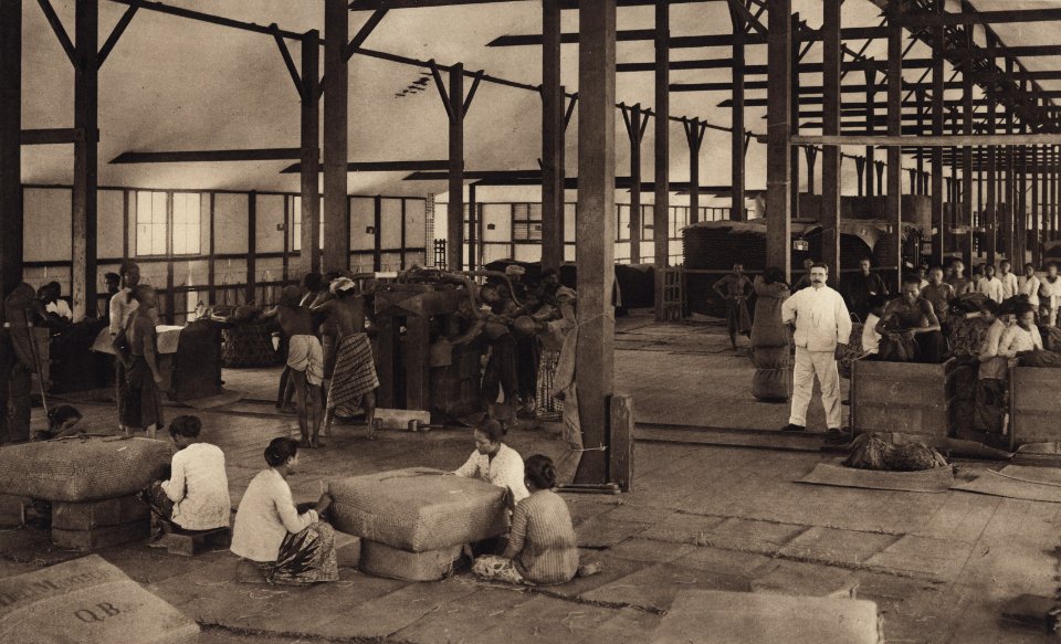 KITLV - 88318 - Kleingrothe, C.J. - Medan - Packaging the sorted tobacco company Kwala Bingei of the Deli Company in Deli - 1905