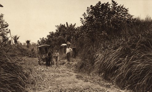 KITLV - 88350 - Kleingrothe, C.J. - Medan - Carriage on a road in Deli - 1905