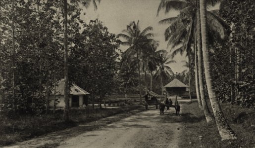 KITLV - 88338 - Kleingrothe, C.J. - Medan - Assist house and clubhouse at the plantation Kwala Mencirim of the Deli Company in Deli - 1905