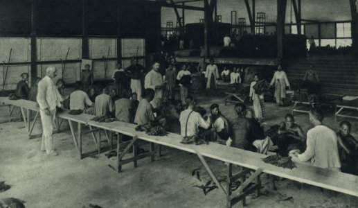 KITLV - 88326 - Kleingrothe, C.J. - Medan - The throw of the tobacco at the company Pungai of the Deli Company in Deli - 1905
