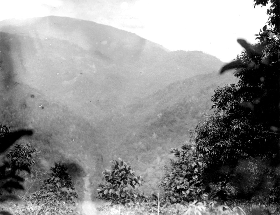 Koro-dalen sedd från Mama-berget. Sulawesi. Indonesien - SMVK - 010791