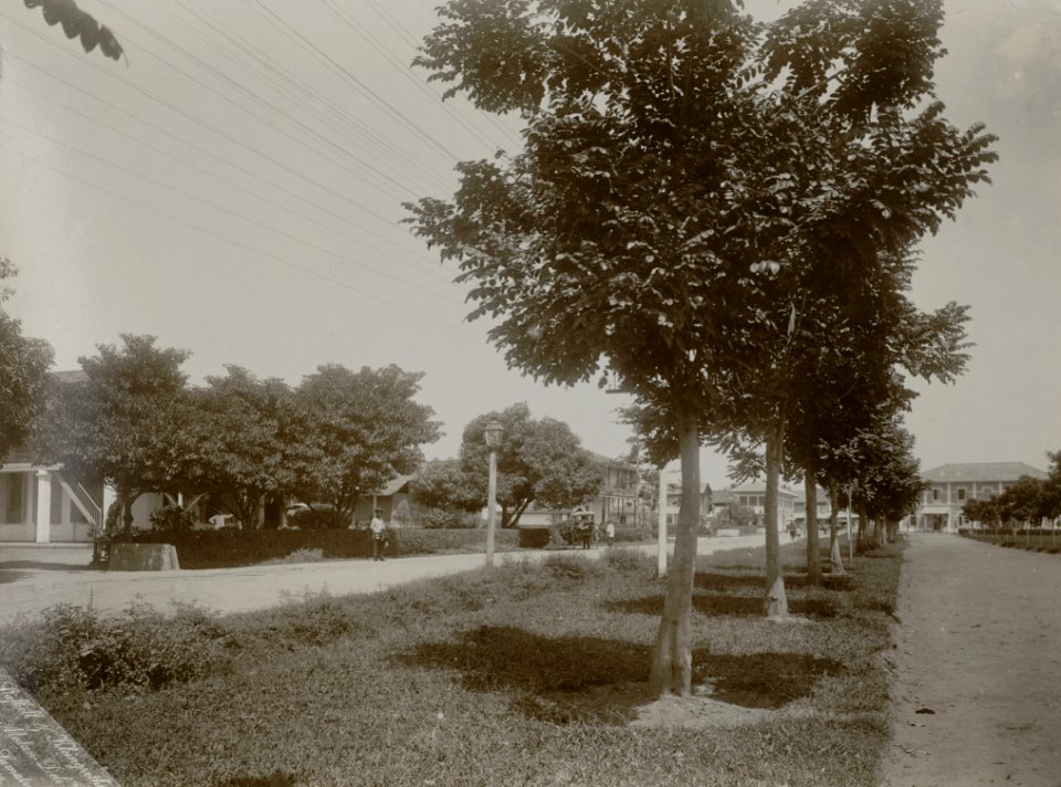 KITLV - 86748 - Stafhell & Kleingrothe - Medan-Deli - Road, presumably at Medan, Sumatra - circa 1900