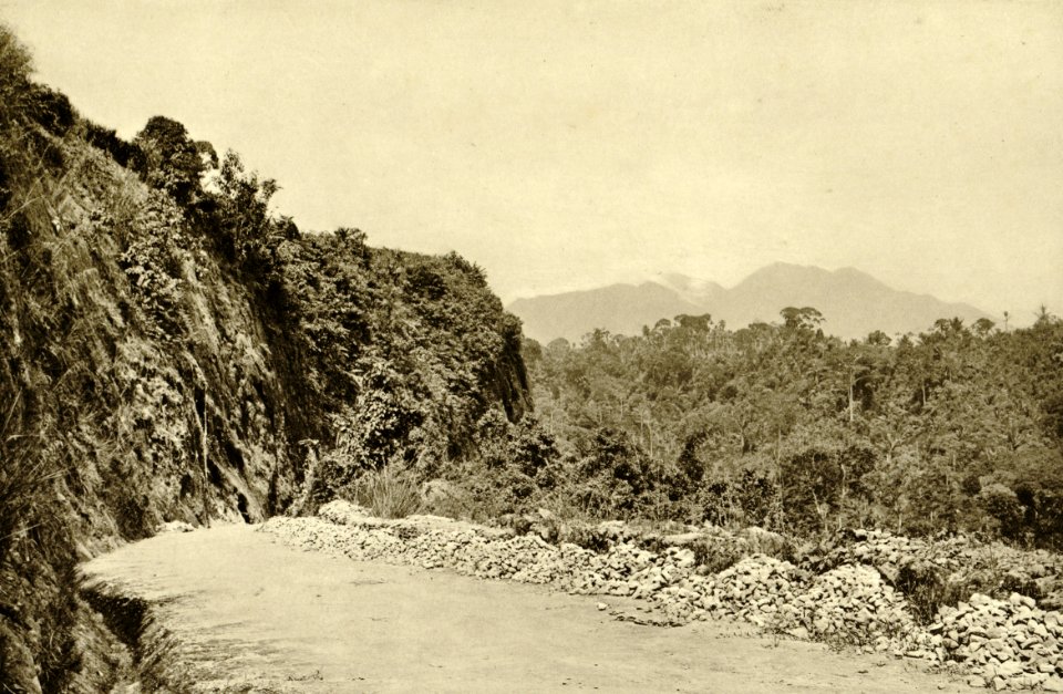 KITLV - 78337 - Kleingrothe, C.J. - Medan - Road to Bandar Baru south of Medan, Sumatra - circa 1900