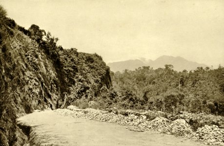 KITLV - 78337 - Kleingrothe, C.J. - Medan - Road to Bandar Baru south of Medan, Sumatra - circa 1900