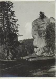 Krakauer Tor geg.Westen Ojcow (BildID 15725831)