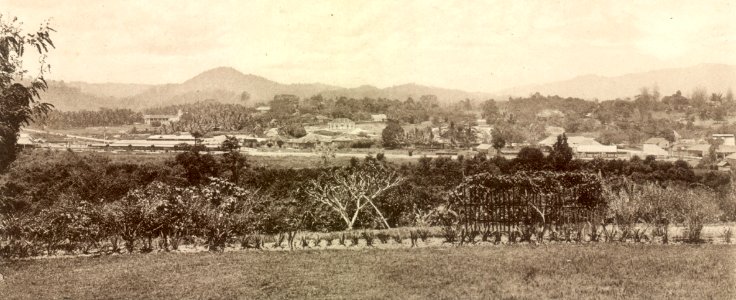 KITLV - 79932 - Kleingrothe, C.J. - Medan - Seremban - circa 1910