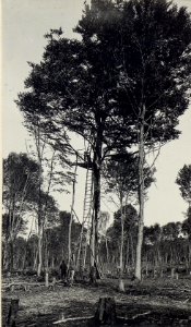Kriegsalbum 107, Bild 32836 (BildID 15724522)