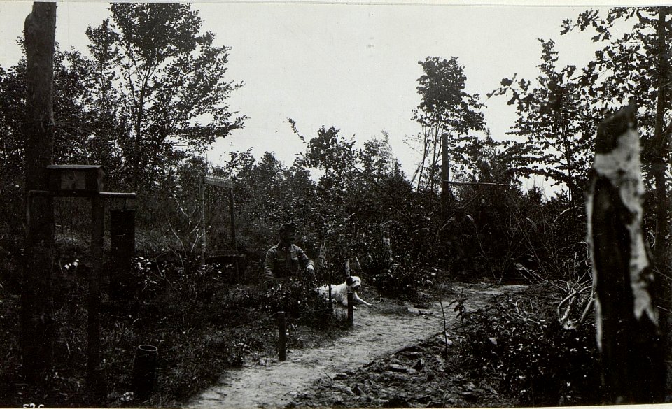 Kriegsalbum 107, Bild 32819 (BildID 15724403)
