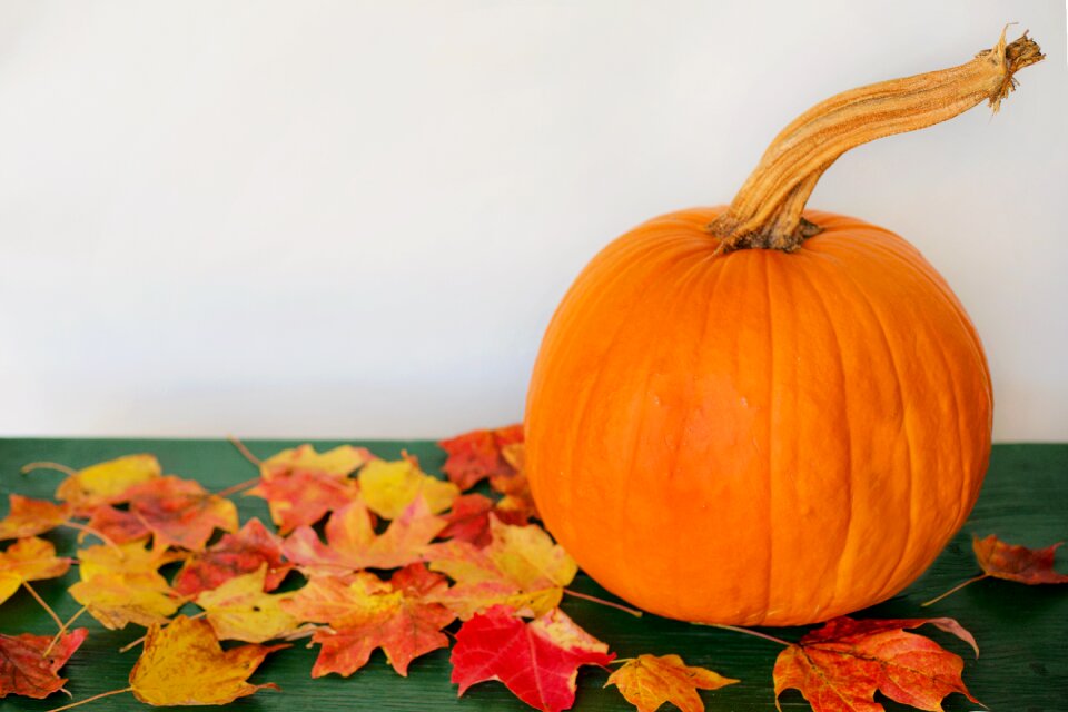 Fall text space background