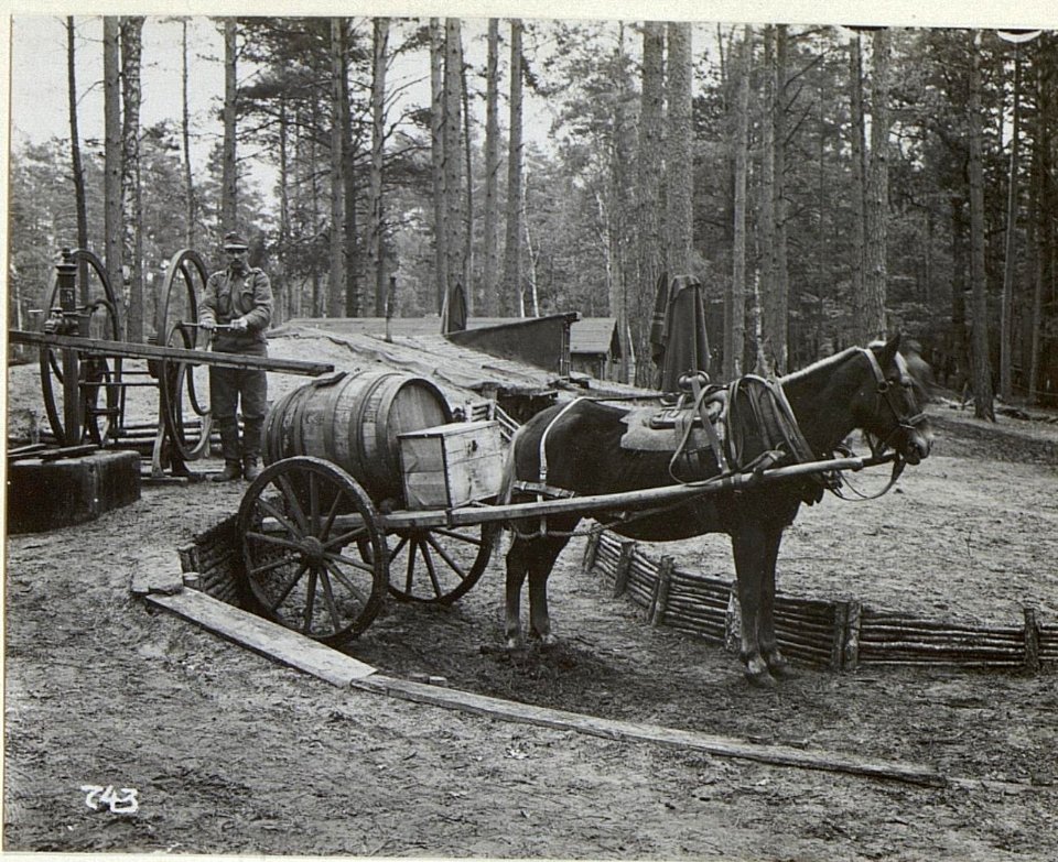 Kriegsalbum 107, Bild 32981 (BildID 15725537)