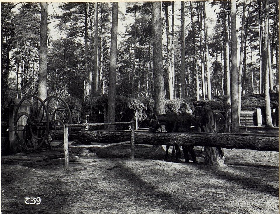 Kriegsalbum 107, Bild 32977 (BildID 15725509)