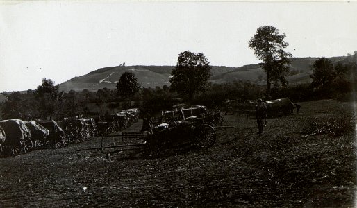 Kriegsalbum 107, Bild 33081 (BildID 15726237)