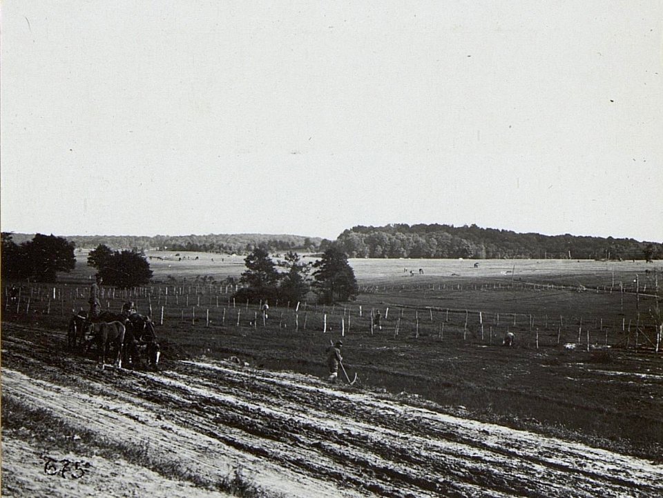 Kriegsalbum 107, Bild 32935 (BildID 15725215)