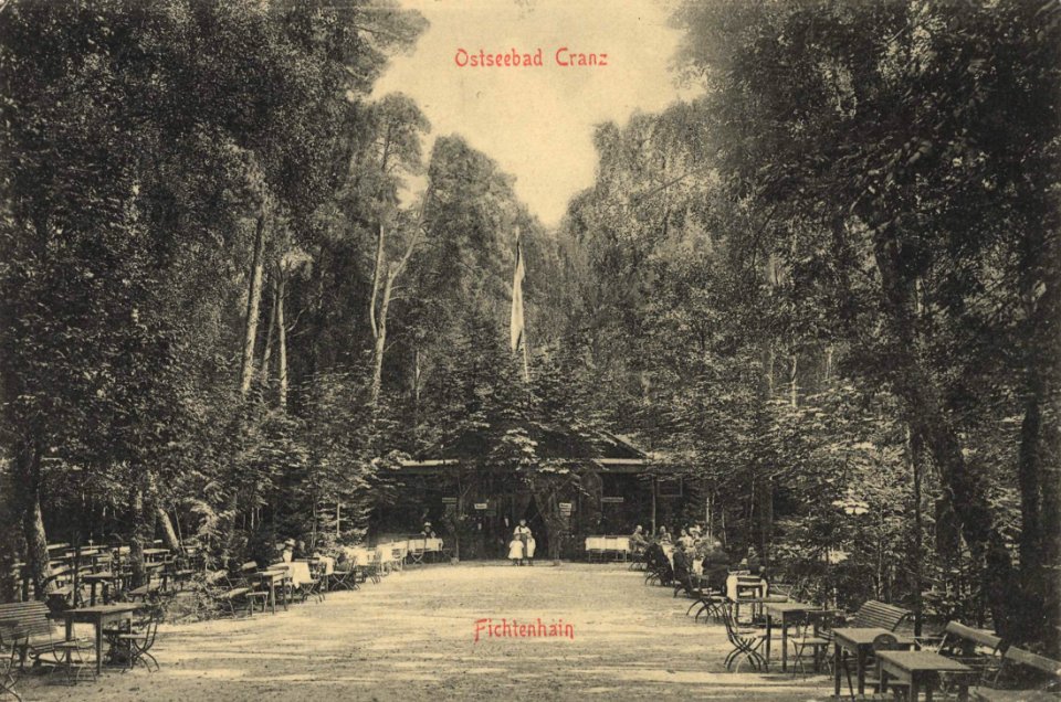 Kranz, Ostpreußen - Fichtenhain (Zeno Ansichtskarten)