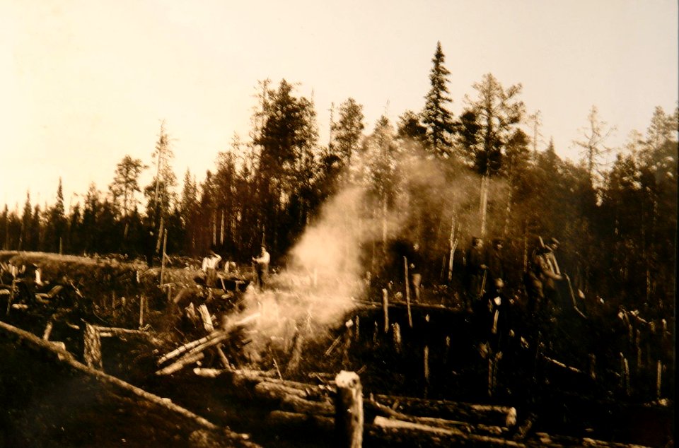 Kriegsgefangene bei Rodungsarbeiten beim Bau der Murmanbahn, 1916