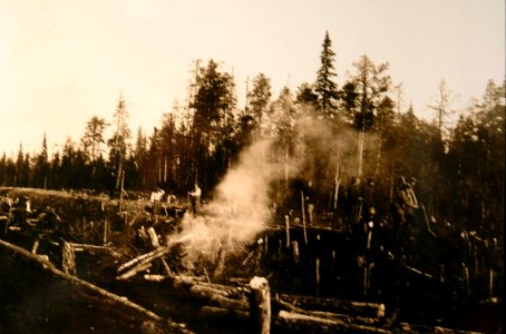 Kriegsgefangene bei Rodungsarbeiten beim Bau der Murmanbahn, 1916