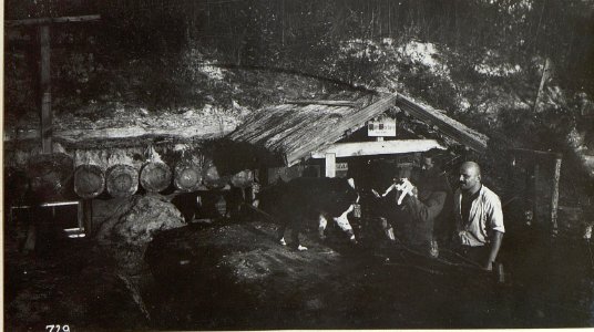 Kriegsalbum 107, Bild 32967 (BildID 15725439)