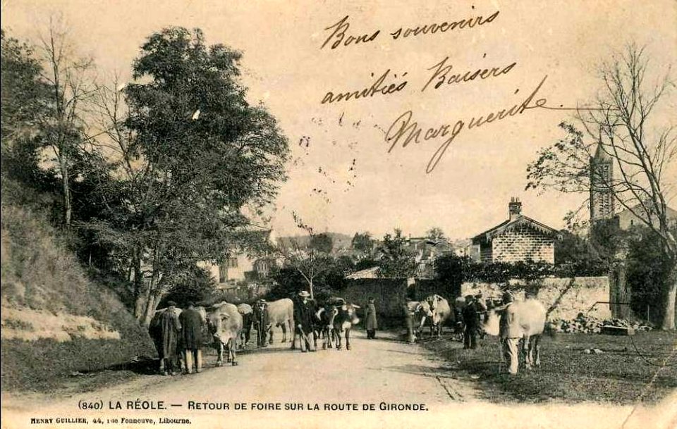 La Réole - route de Gironde-sur-Dropt