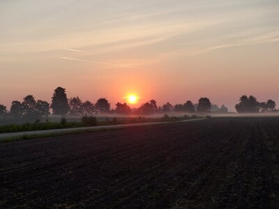 Morgenstimmung nature sun photo