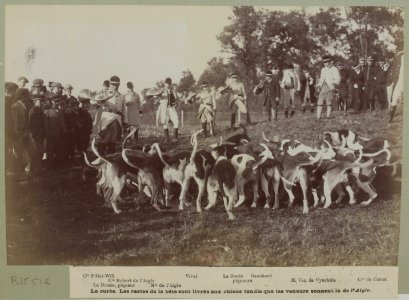 La curée (Vènerie, 1899)