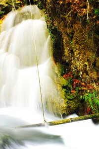 Nature landscape green