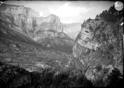 La vall d'Ordesa coberta de boscos i muntanyes al fons