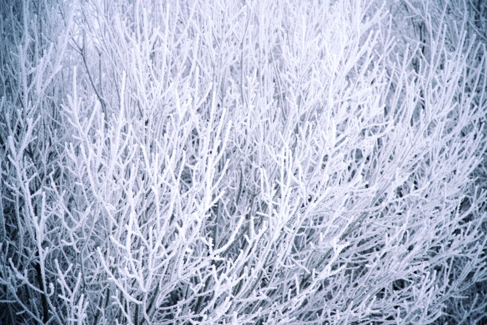 Cold frosty outdoors