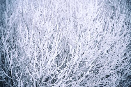 Cold frosty outdoors