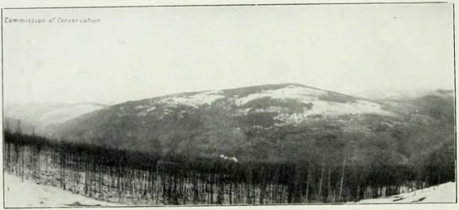 Leavitt - Protection des forêts au Canada, 1912 (page 73 crop)