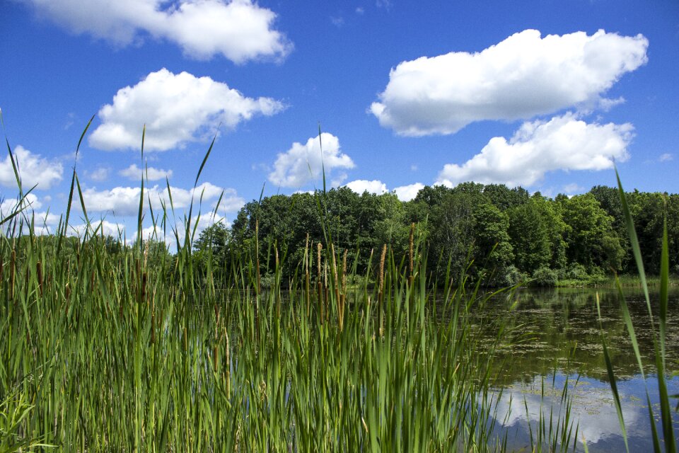 Landscape scenery outdoor