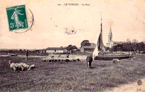 Le Verdon - port des pêcheurs 2