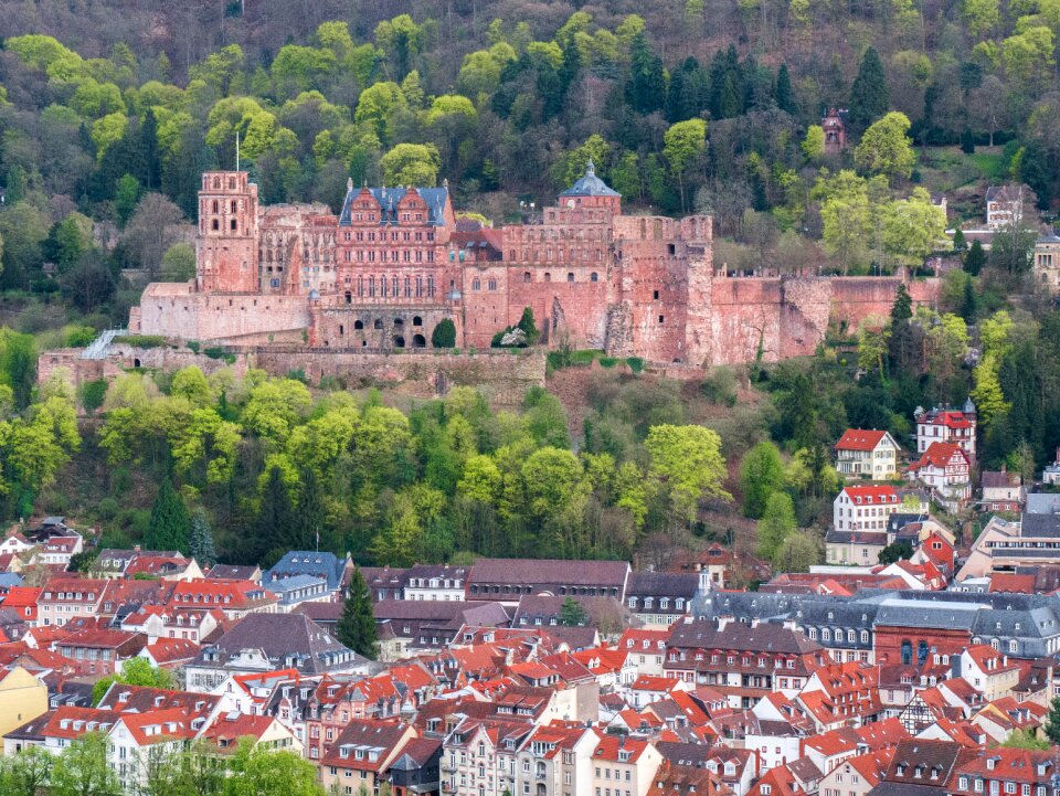 Heidelberg heidelberger schloss fortress