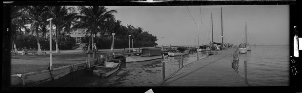 Long dock, boats, East Florida LCCN2017656424